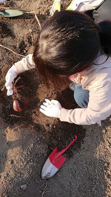 一日の生活イメージ